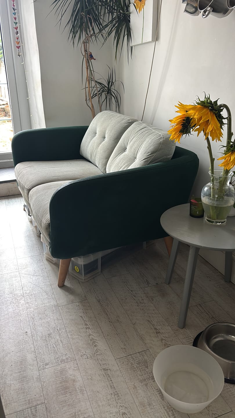 Customer photo review of Fabric Paint -- Green