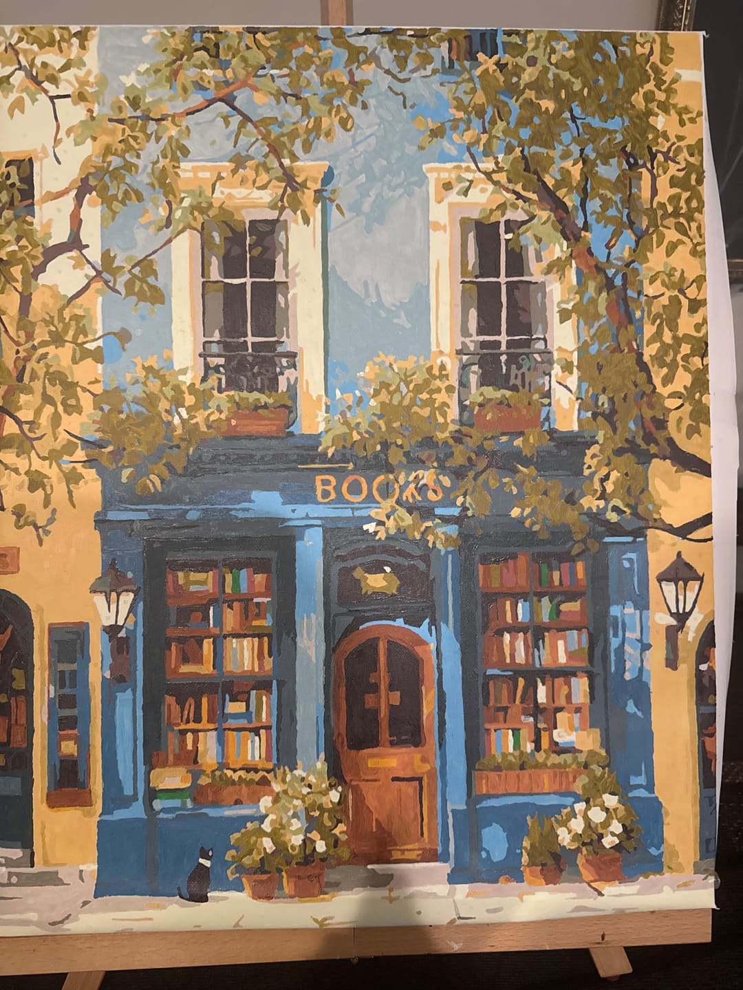Customer photo review of The Blue Bookshop | Paint by Number