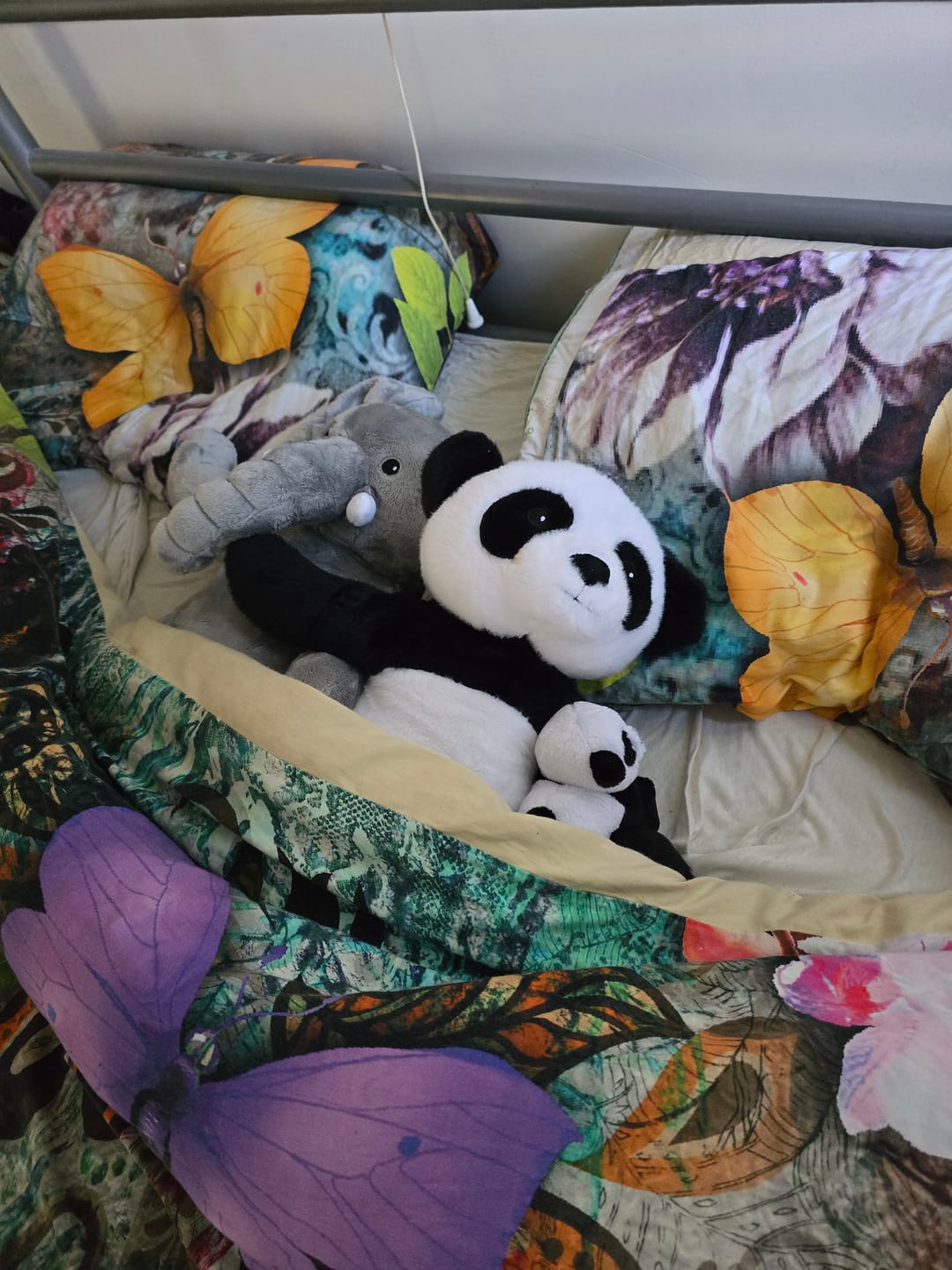 Customer photo review of Mini & Grote Panda - Je bespaart €20