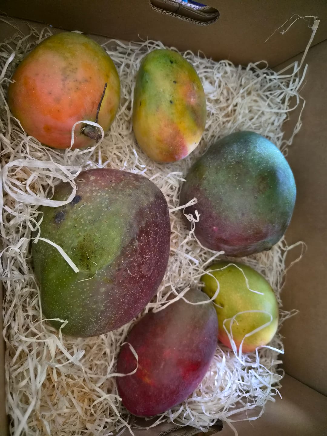 Customer photo review of Mango-Raritäten Mix von Julian Aktionswoche %