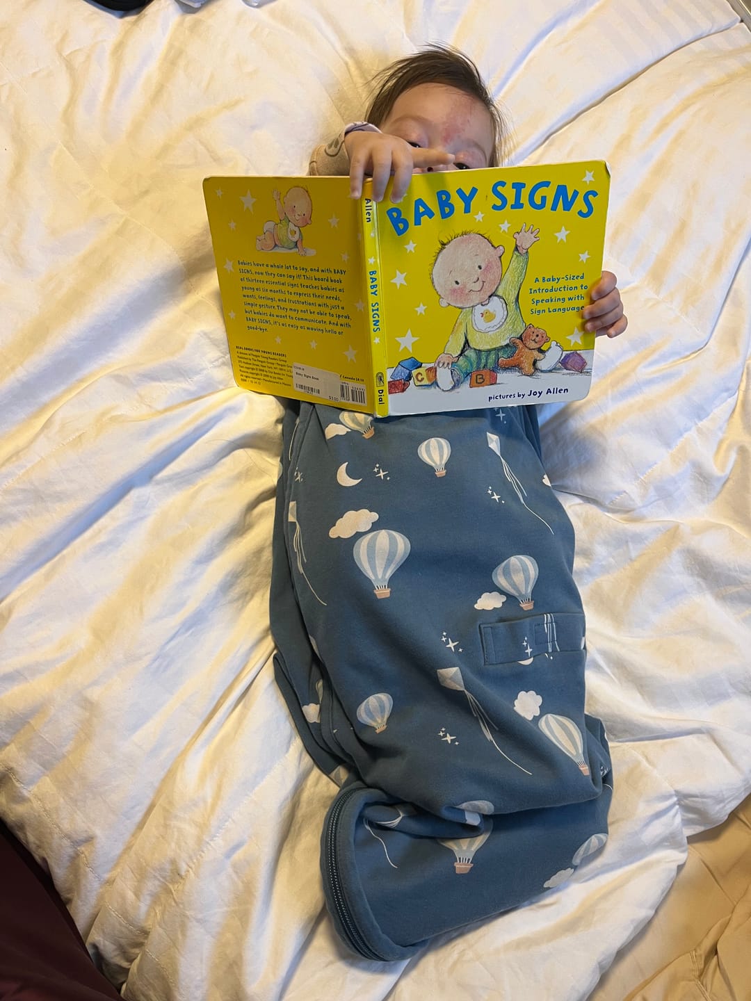 Customer photo review of 4 Season® Ultimate Baby Sleep Bag, Merino Wool & Organic Cotton, Hot Air Balloon