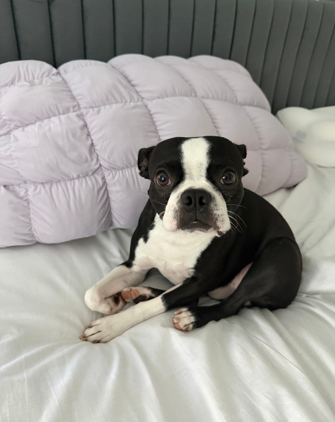 Customer photo review of Puff Pillow