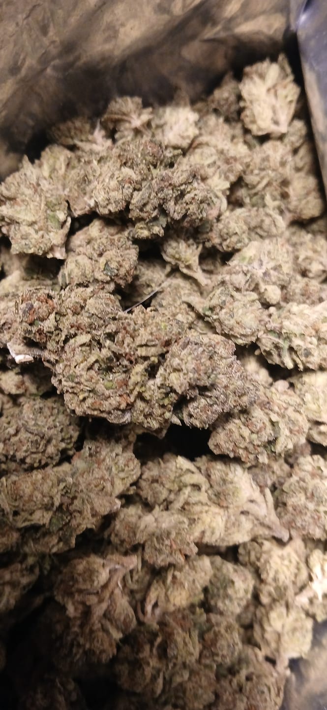 Customer photo review of Cheap THCA Flower Quarter Pound