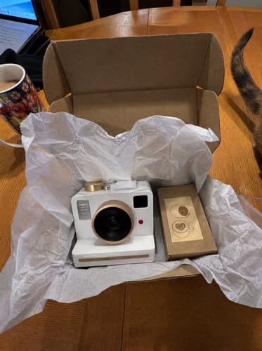 Sofia C. review