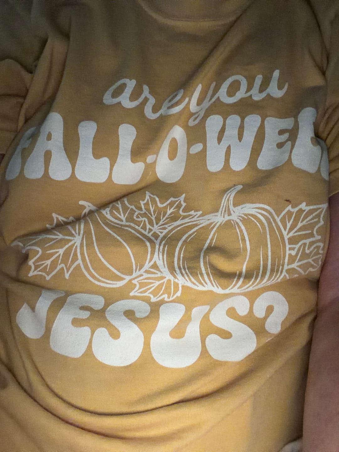 Customer photo review of The Fourth T-Shirt