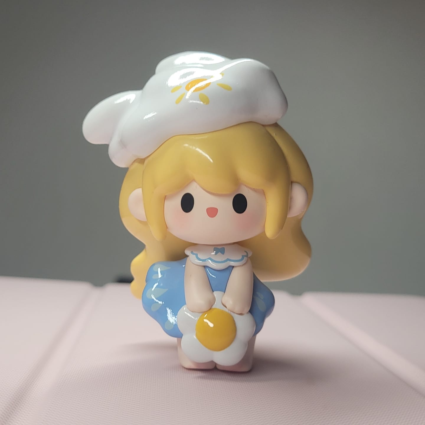 Customer photo review of UUTOY Weather Collector Series Mini Blind Box