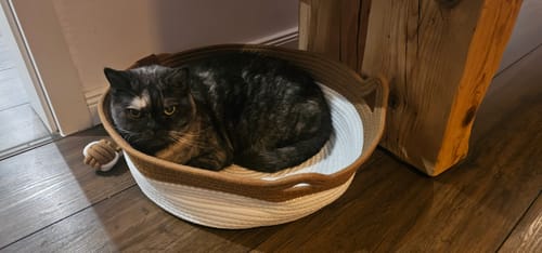 Customer's Fellnest Katzenkorb, a round two-toned woven basket, with a dark cat resting inside on a wooden floor.