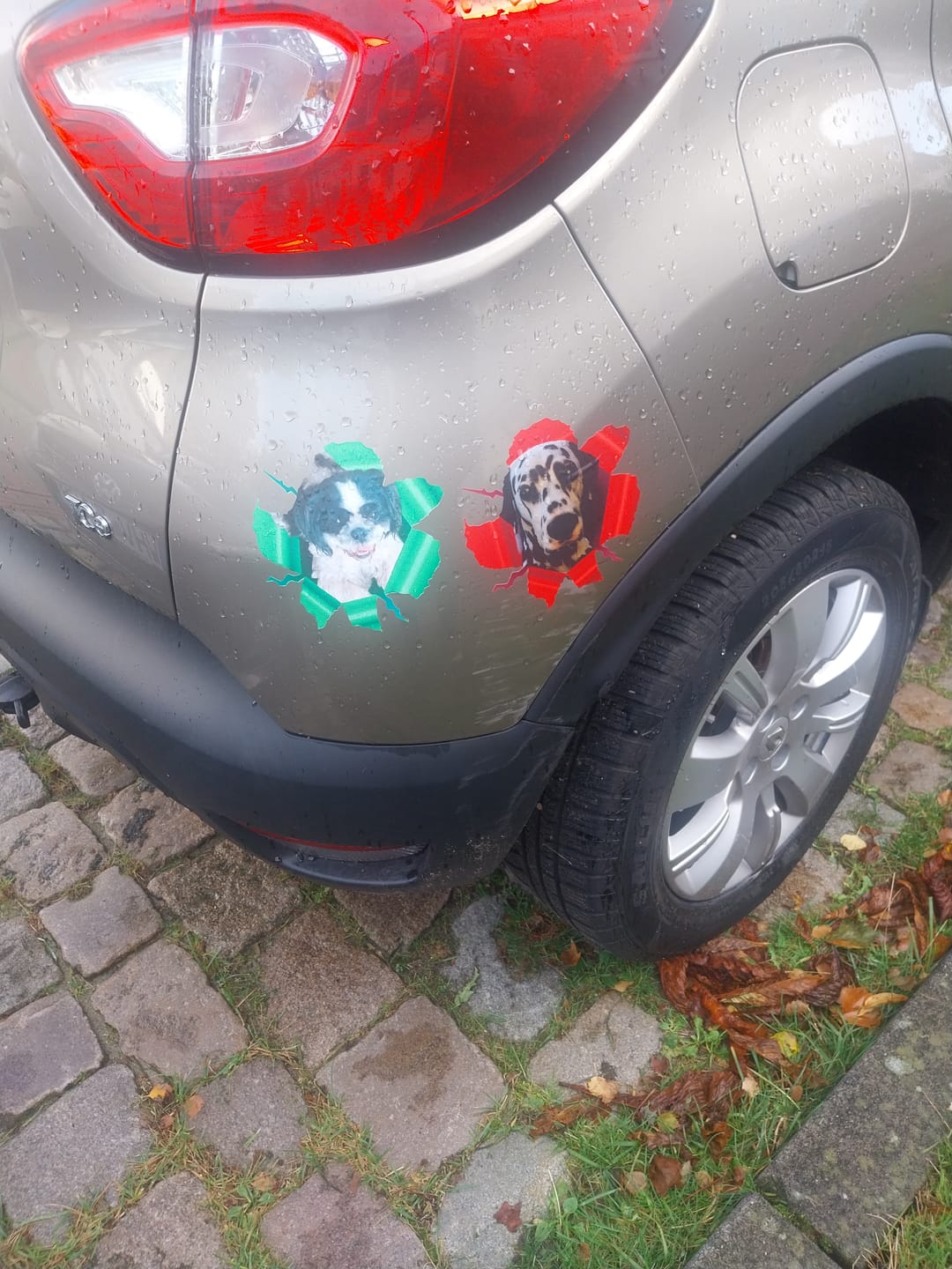 Customer photo review of Personalisierter Autoaufkleber - Spähendes Foto
