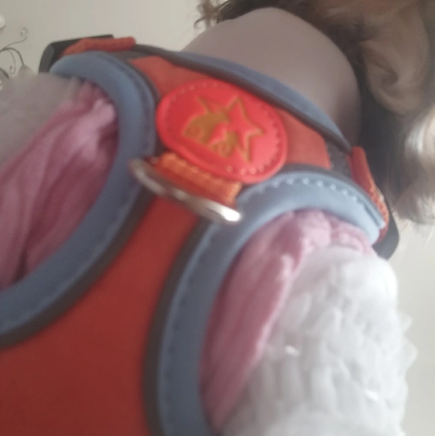 Customer photo review of Dogs Harness Vest Walking Traction Rope Reflective Straps Soft Mesh