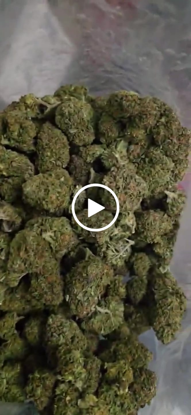 Customer video review of Airheadz THCA Flower