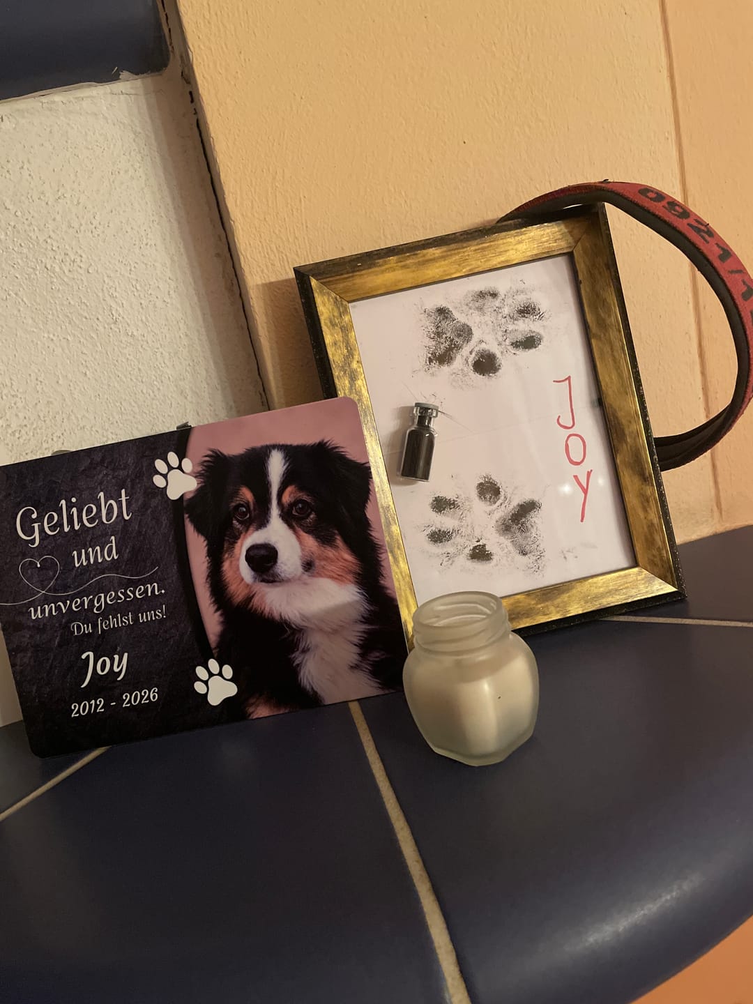 Customer photo review of Hunde Gedenktafel mit Foto & Spruch (UV- & Wetterfest)