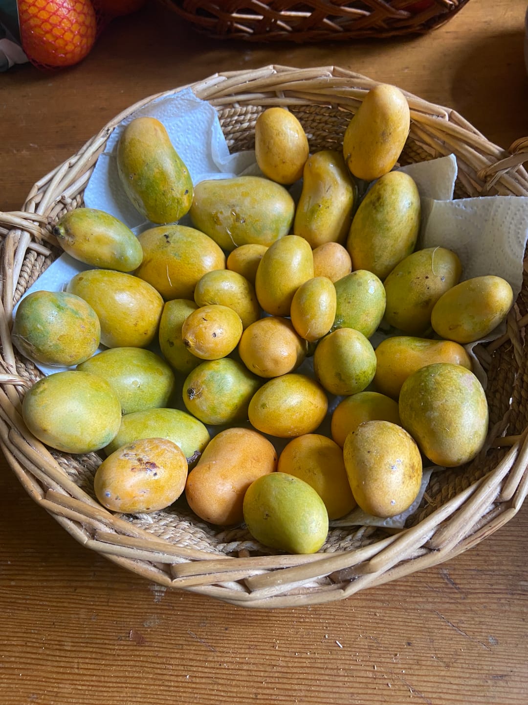 Customer photo review of Baby Zuckermango Ataulfo Bio von Julian