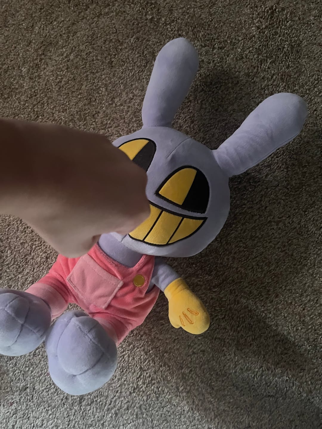 Customer photo review of Jax Plush
