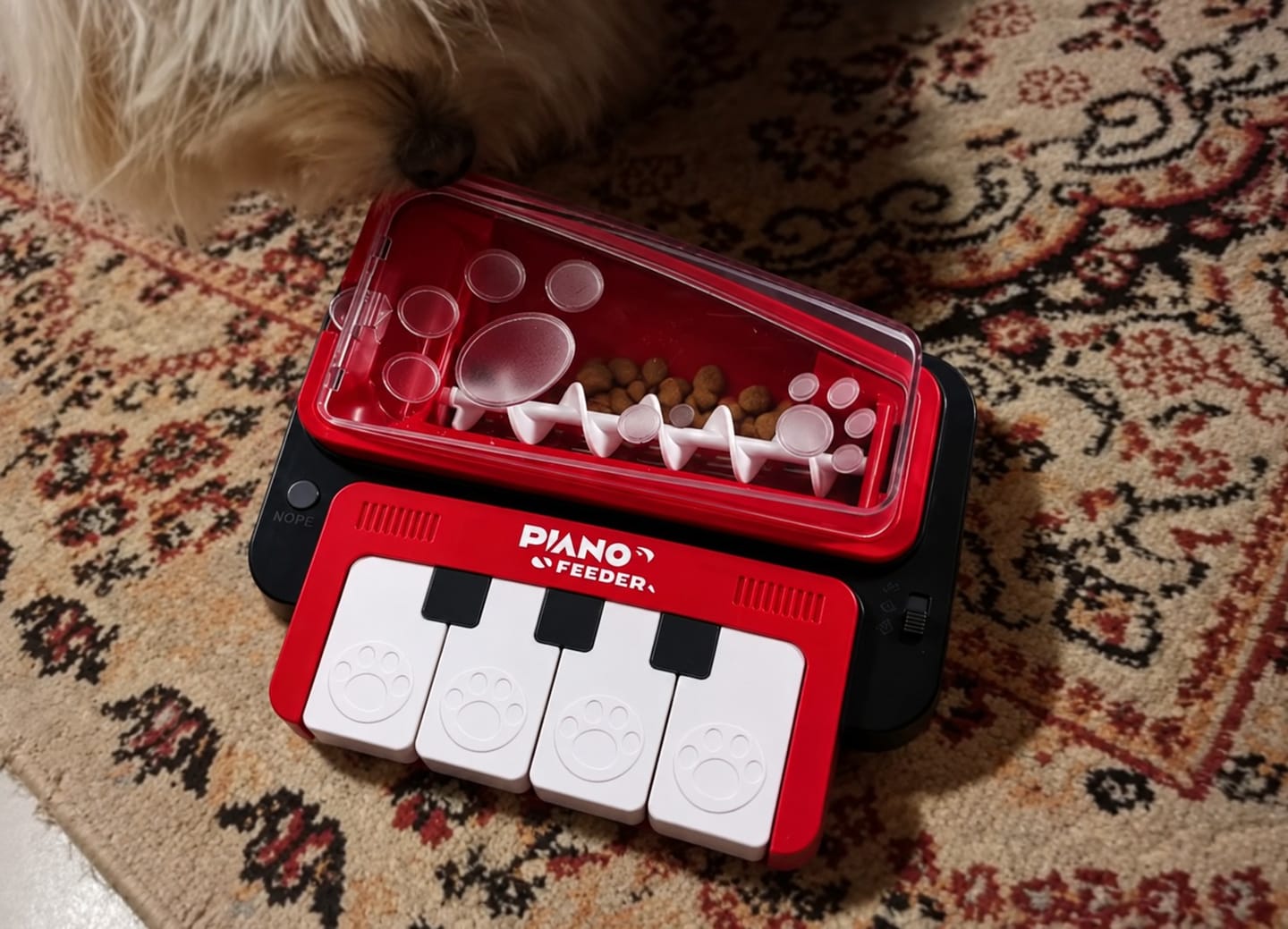 Customer photo review of PAW PIANO