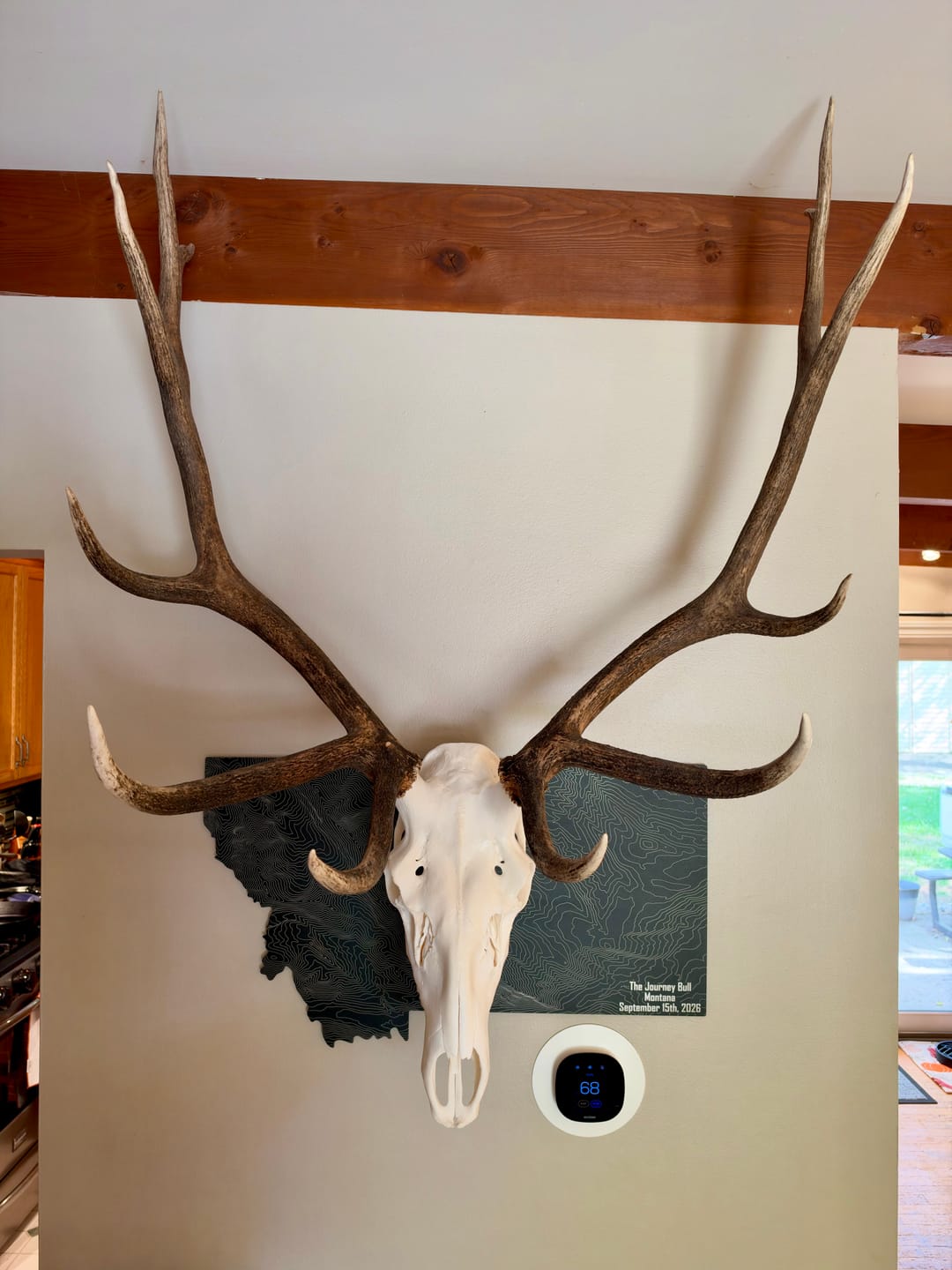 Customer photo review of Large Game Plaques