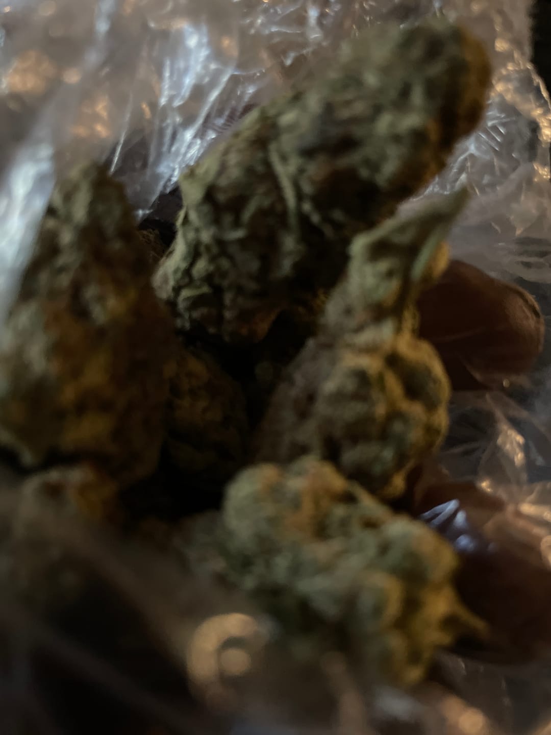 Customer photo review of Khalifa Kush THCA Flower