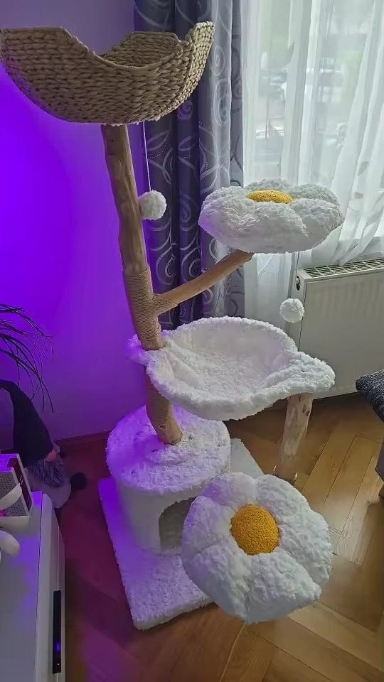 Customer photo review of Grand arbre à chat Maine Coon bois flotté 150cm — Rot