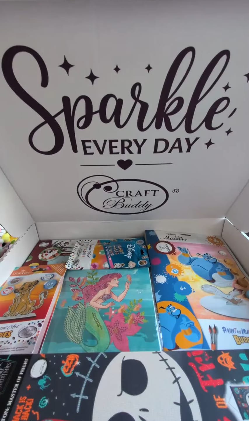 Customer photo review of Disney Crystal Art Mystery Box