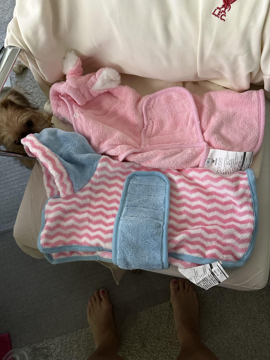 Customer photo review of New Quick-Drying Absorbent Pet Bathrobe Towel