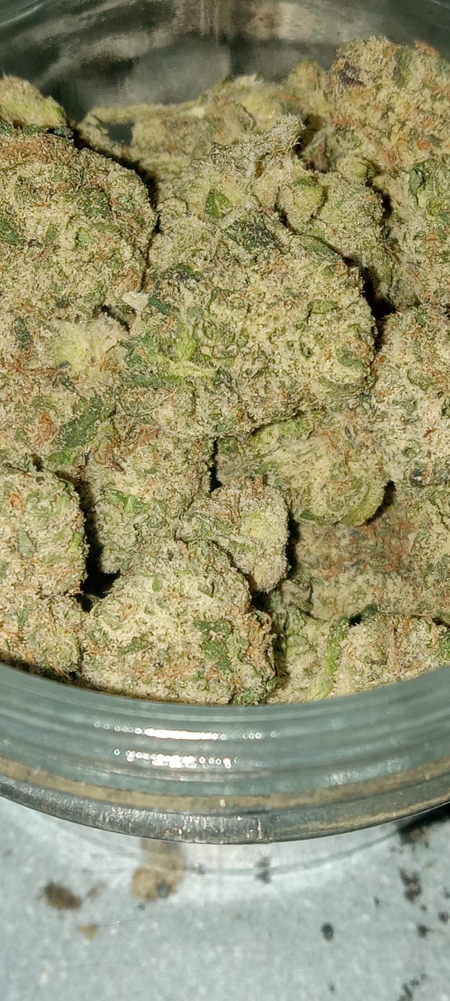 Customer photo review of Bulk THCA Micros
