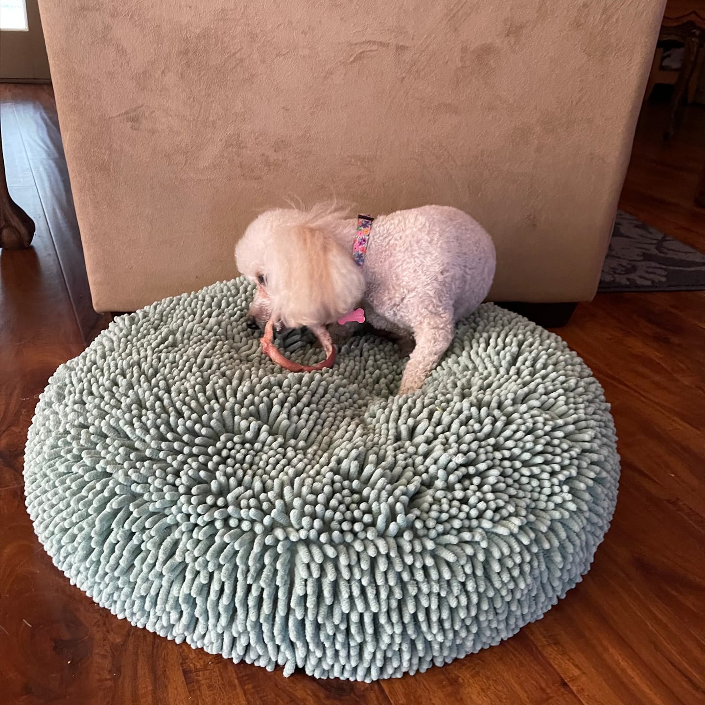 Customer photo review of Small Bully Stick Ring