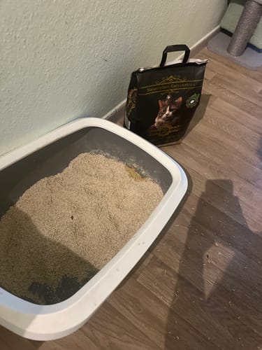 Katze von Elke B.