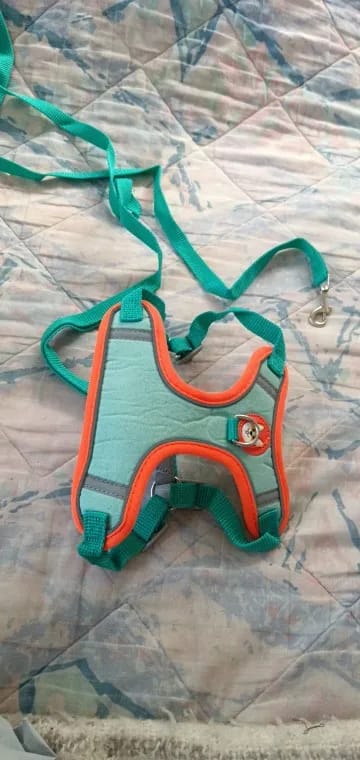 Customer photo review of Dogs Harness Vest Walking Traction Rope Reflective Straps Soft Mesh