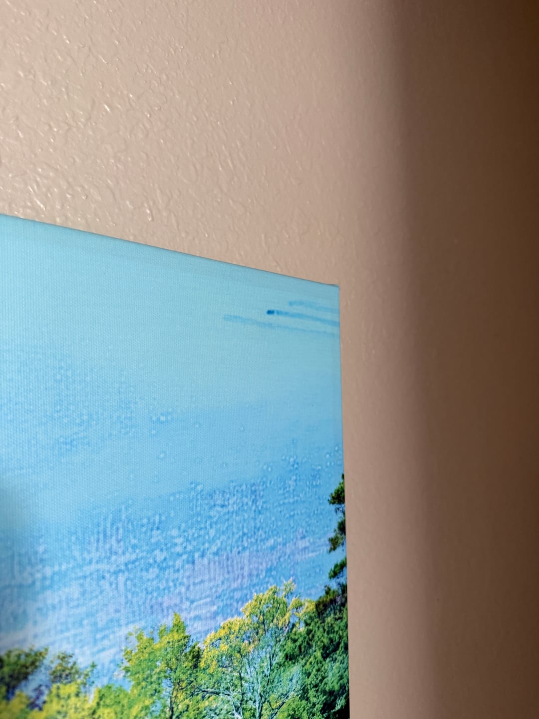 Customer photo review of Augusta National Abstract Wall Art