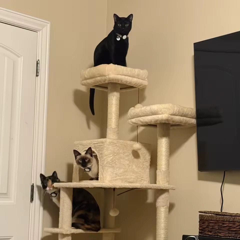 Customer photo review of Arbre à chat XXL beige 180 cm — Bok