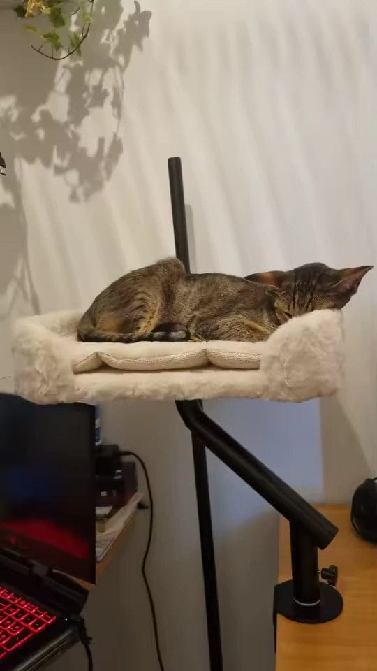 Customer photo review of Lit de bureau cocon pour chat — Kose