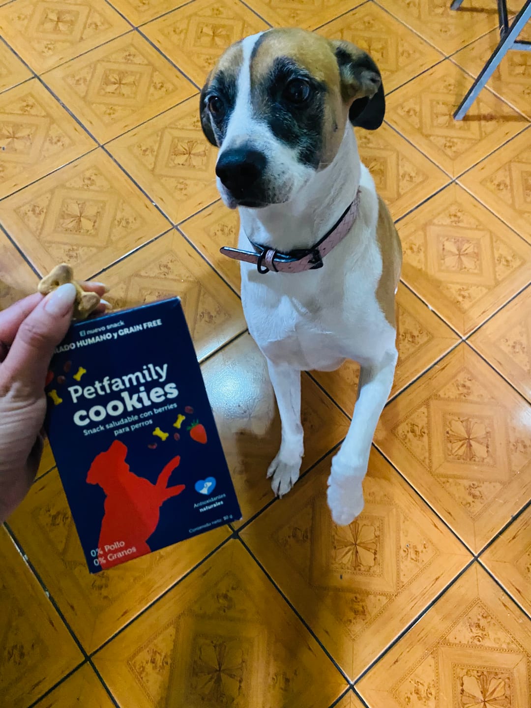 Customer photo review of PetFamily Cookies