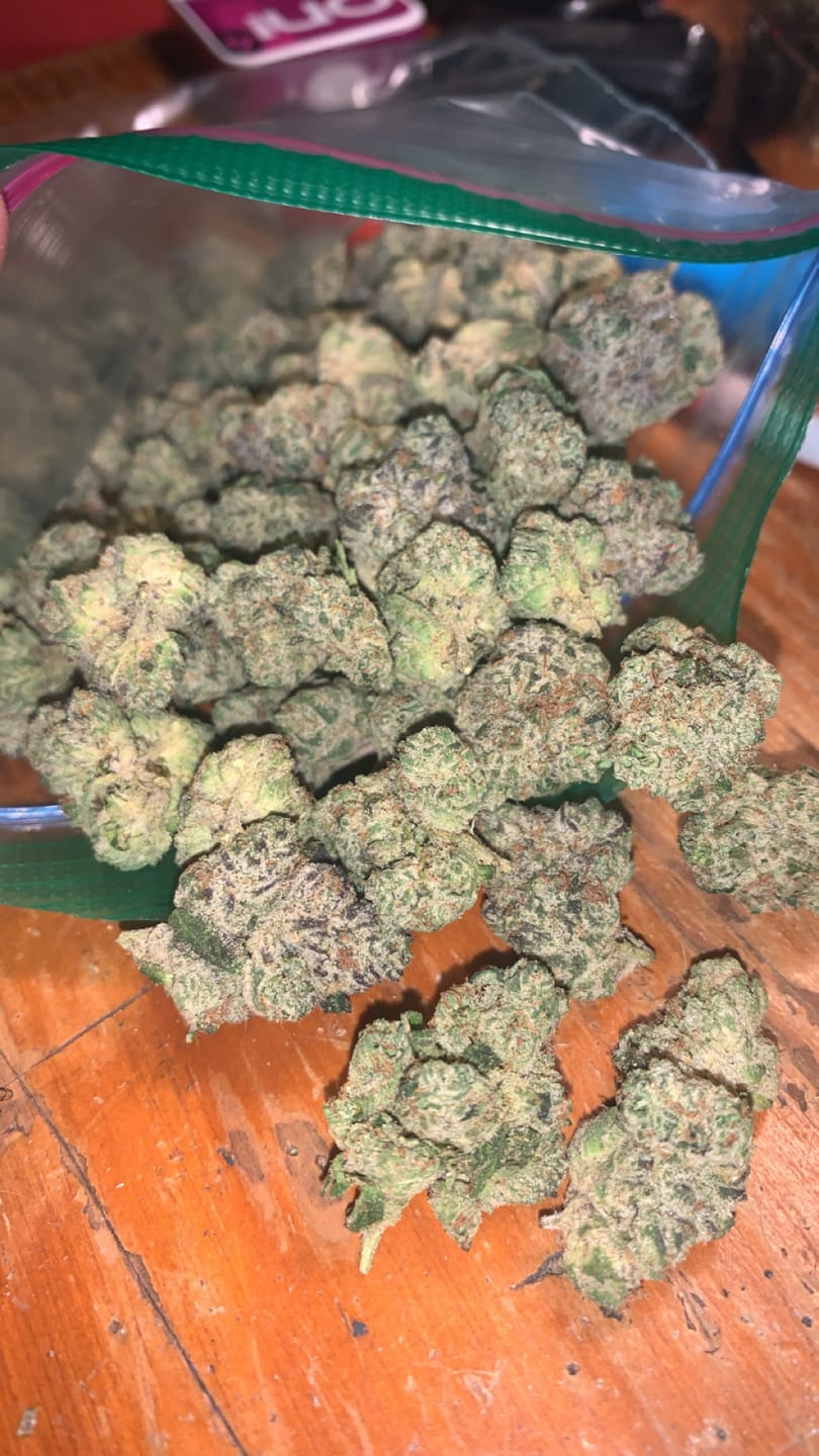 Customer photo review of Runtz THCA Flower (Budget)