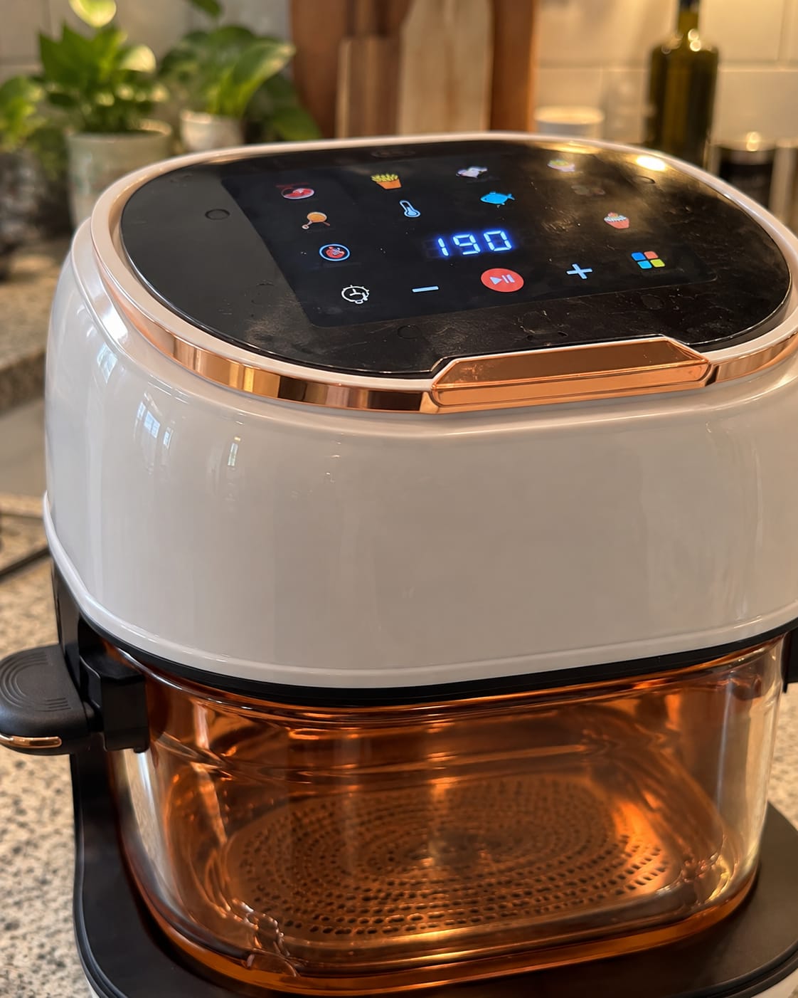 Customer photo review of Premium Glass Air Fryer