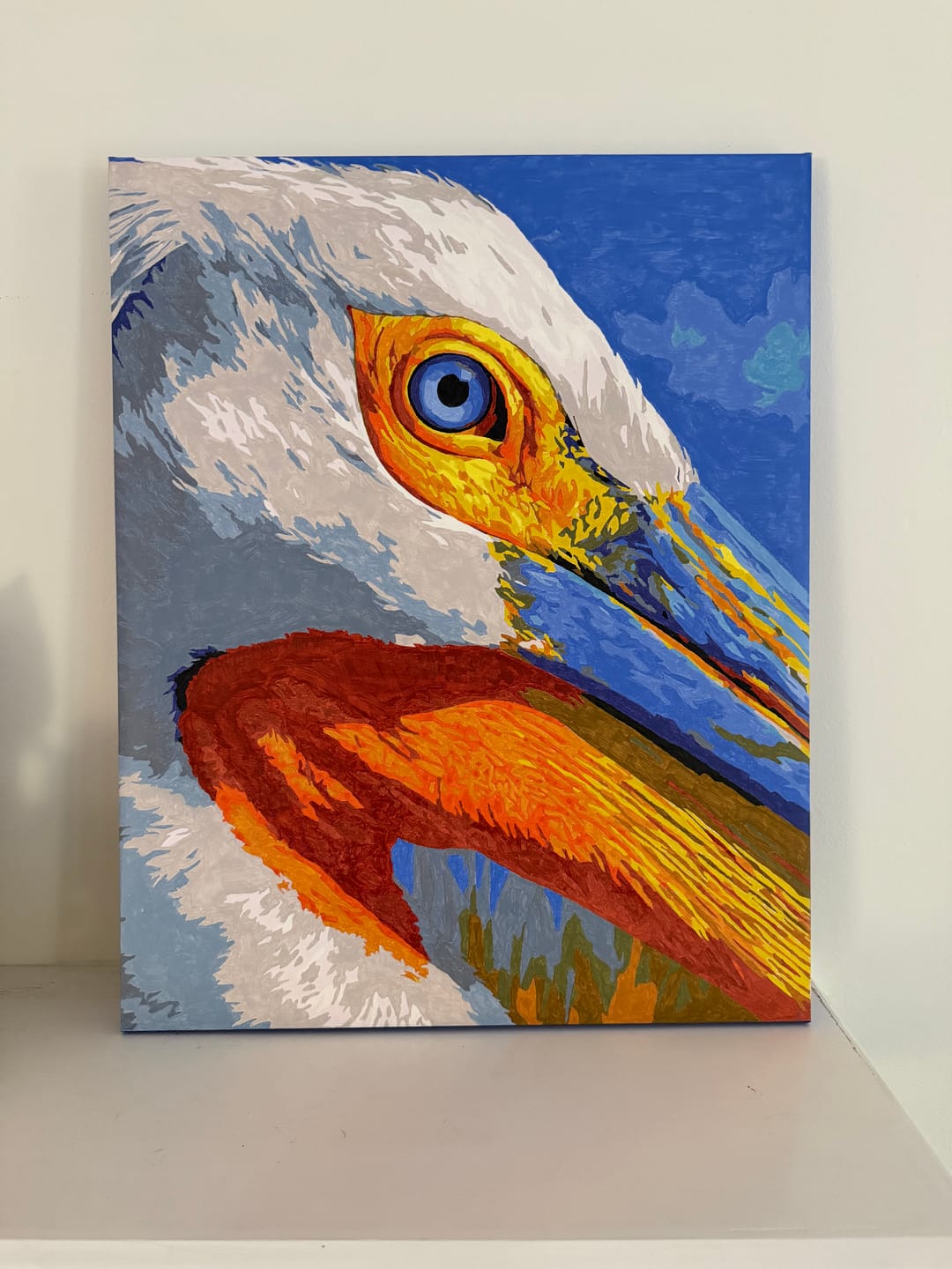 Customer photo review of Pelican Portrait | Paint by Number