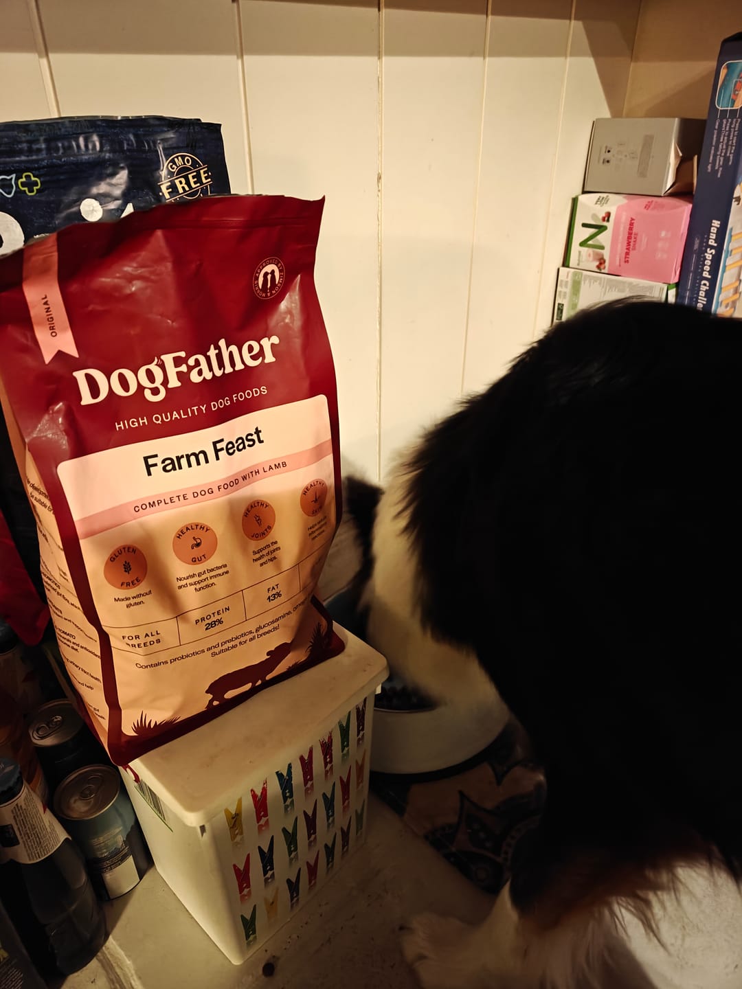 Customer photo review of Hundfoder Lamm & Ris, 11kg