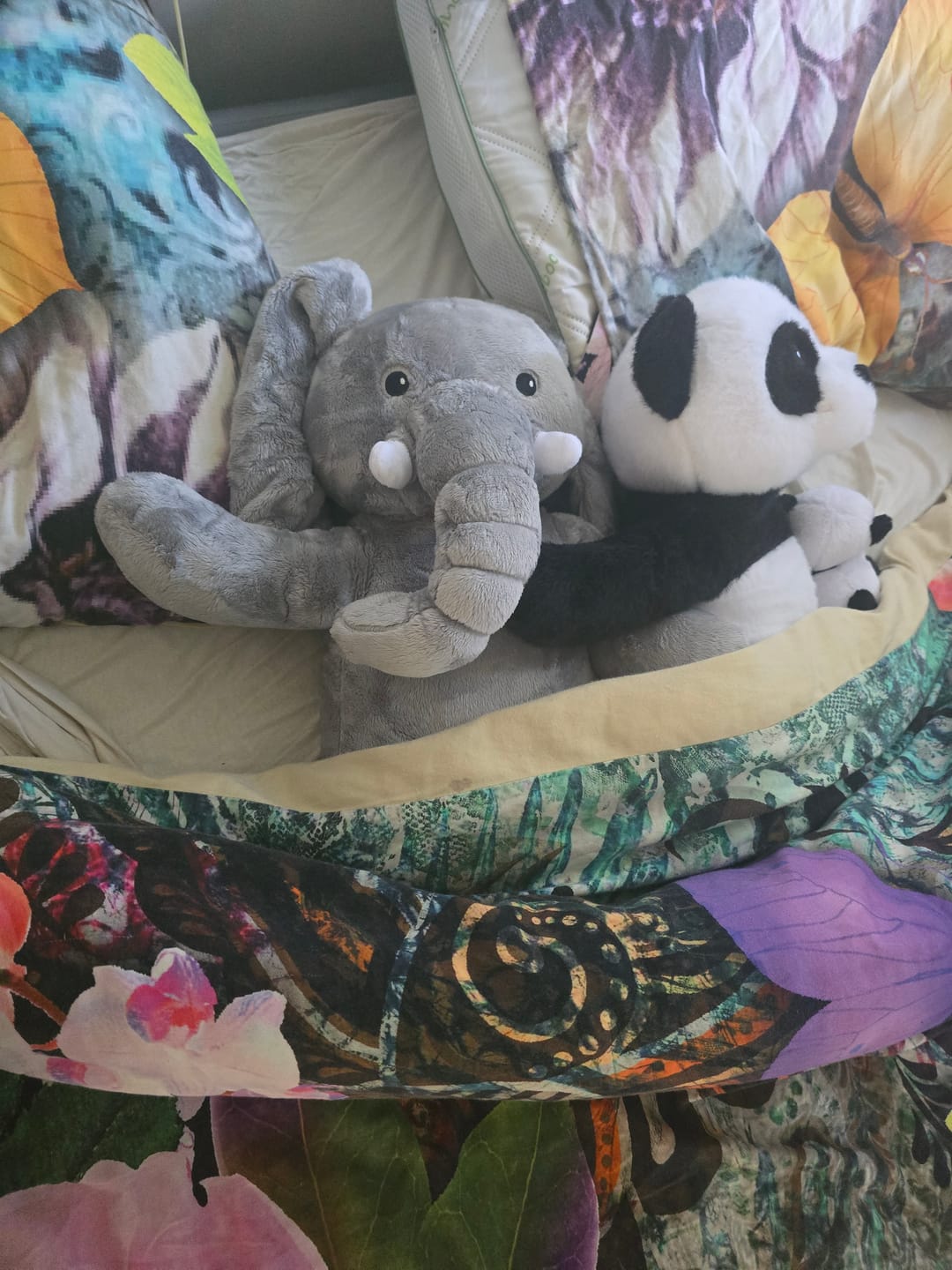 Customer photo review of Lotgenootje Olifant 2kg