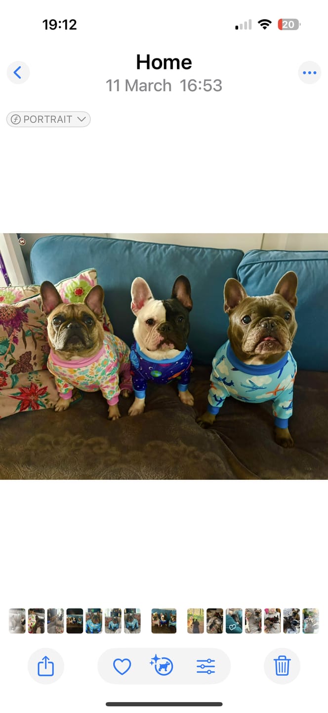 Customer photo review of Dog Pajama Prints