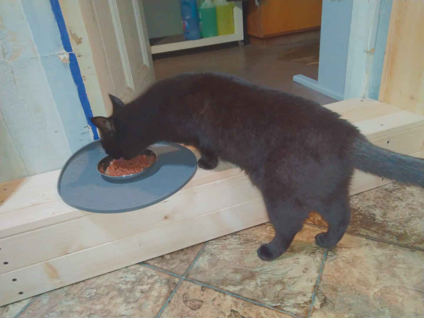 Customer photo review of MONODIET pastēte kaķiem ar tunci
