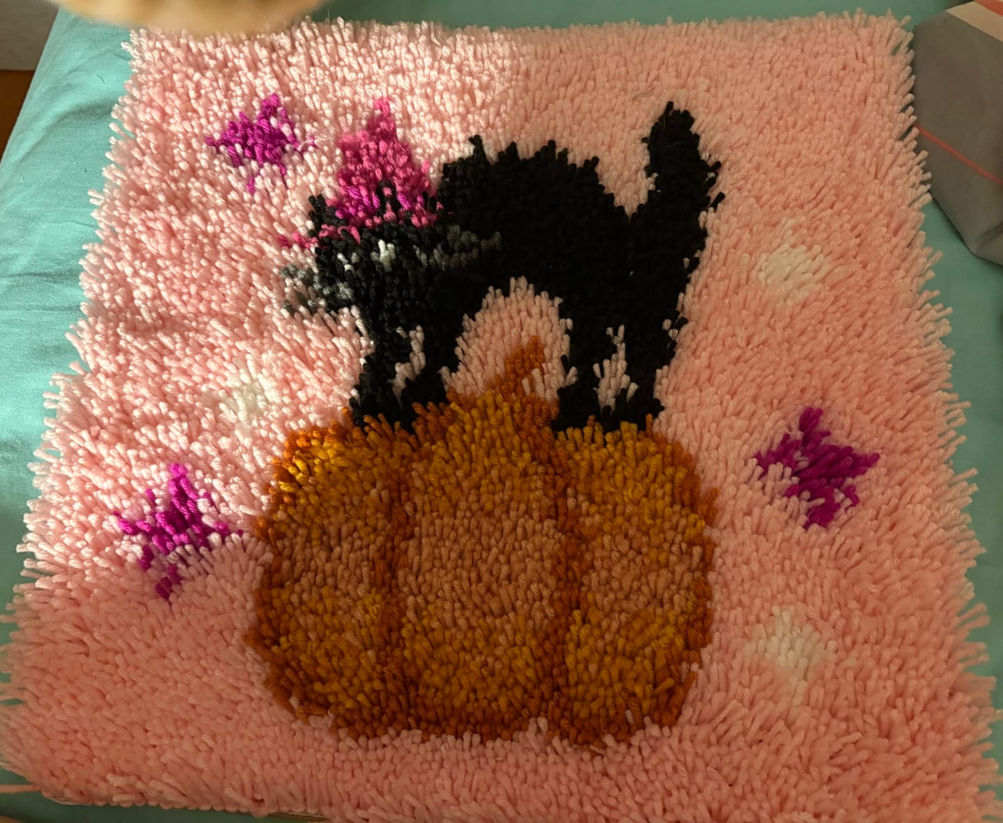 Customer photo review of SCAREDY CAT - Latch Hook Cushion Kit