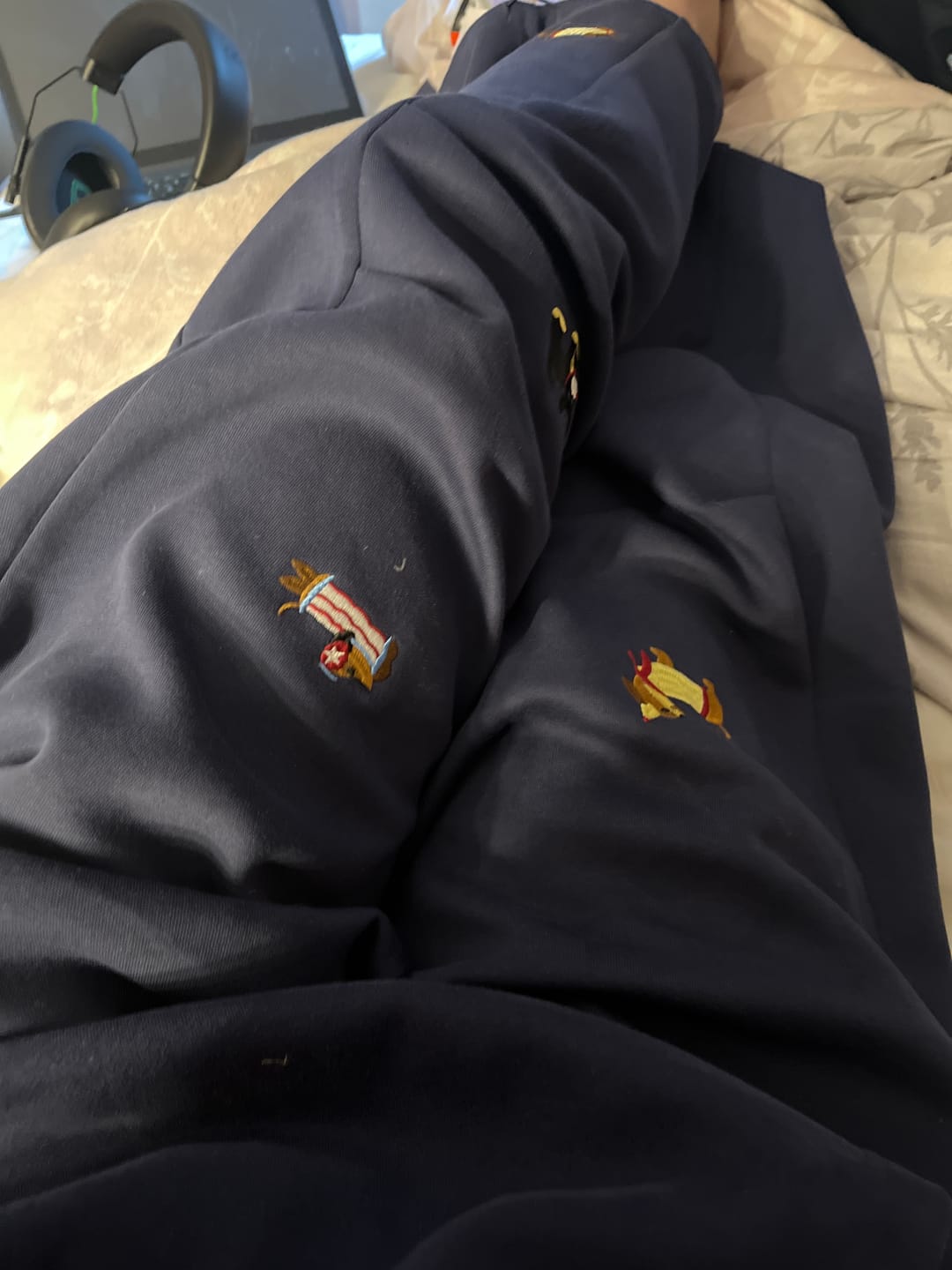 Customer photo review of Aelfric Eden Embroidery Dog Baggy Barrel Sweatpants