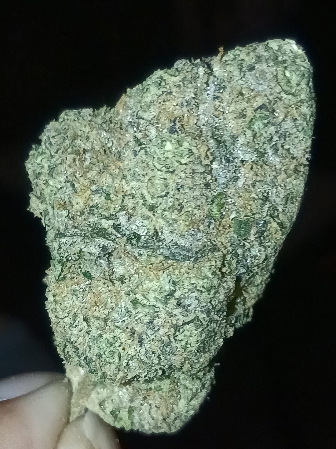 Customer photo review of Biscotti THCA Flower (Premium)