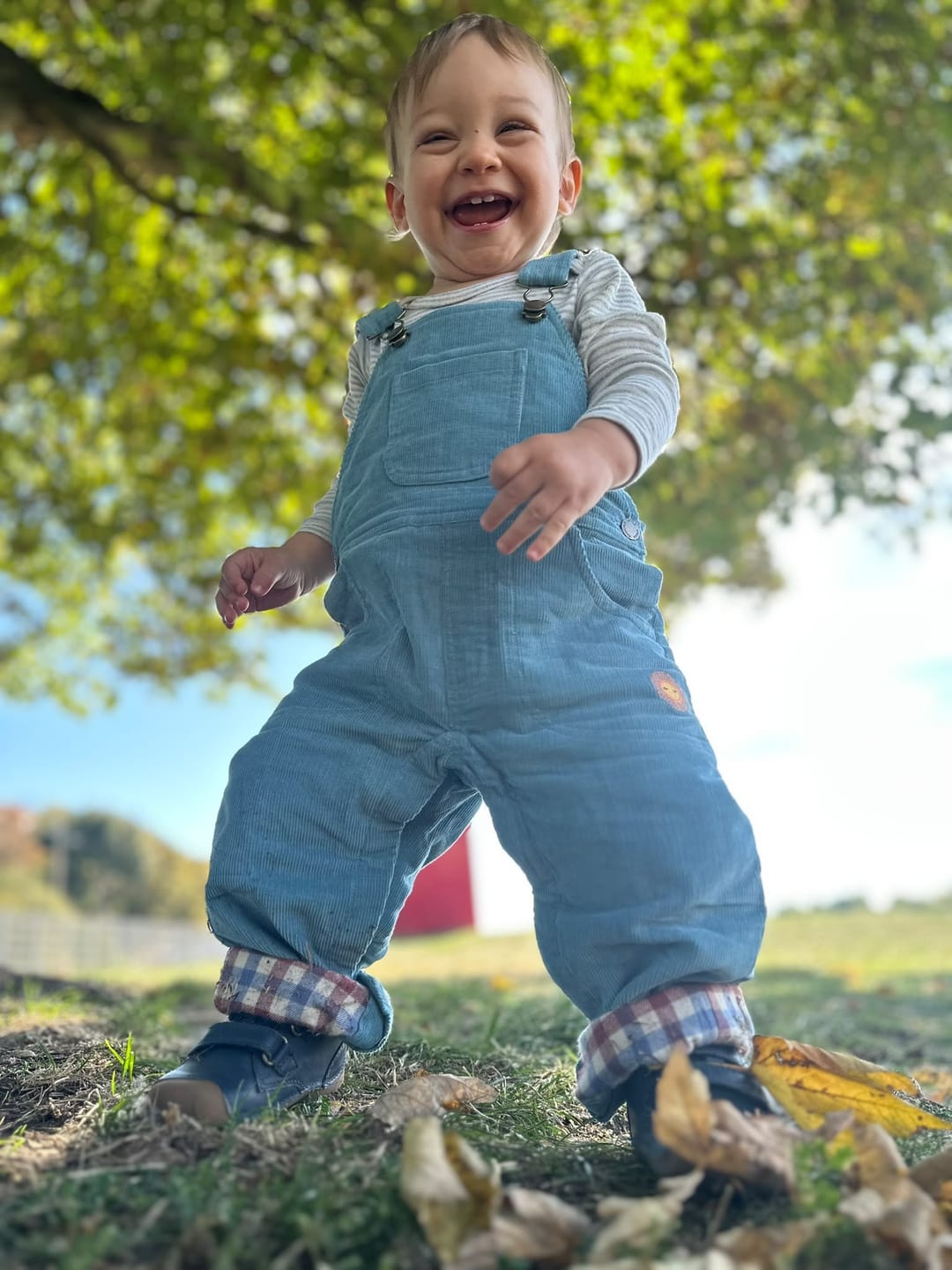 Customer photo review of Pale Blue Lined Corduroy Dungarees