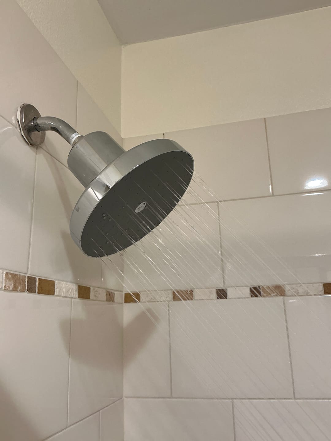 Customer photo review of Ultimate Showerhead