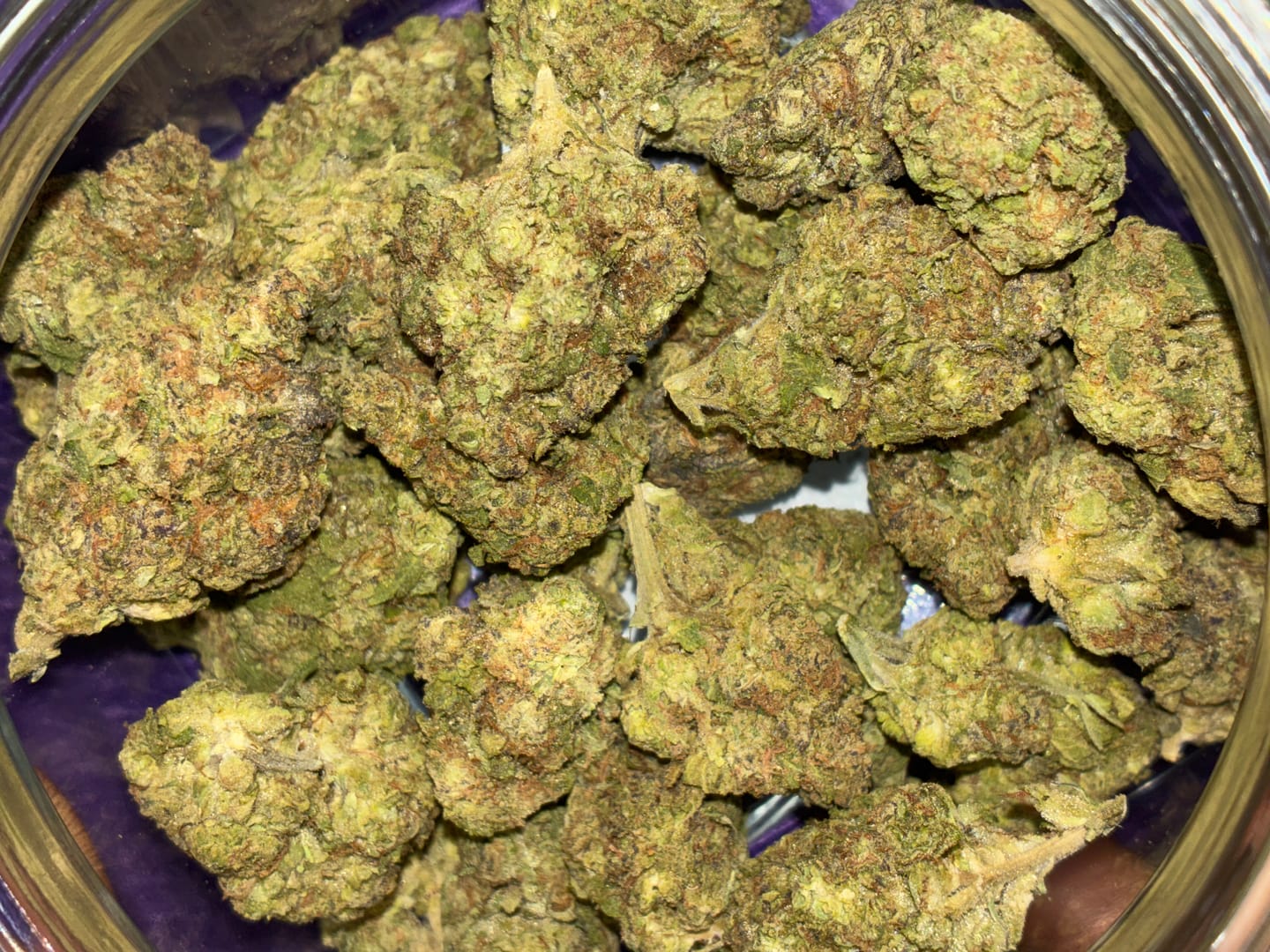 Customer photo review of Khalifa Kush THCA Flower