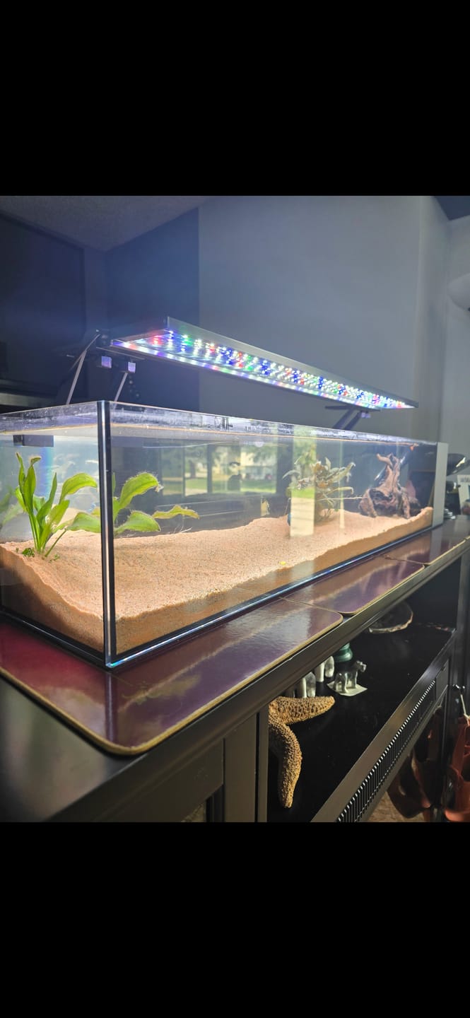 Customer photo review of Peter's Aquaverse Bookshelf Series Aquarium Kit