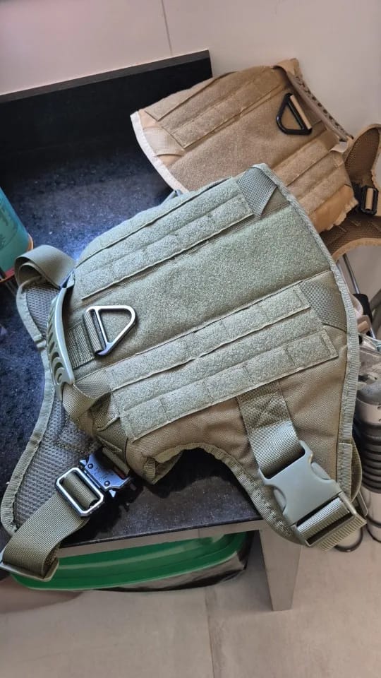 Customer photo review of 2-Piece Big Dog Harness & Lead Set – Heavy Duty Tactical No Pull