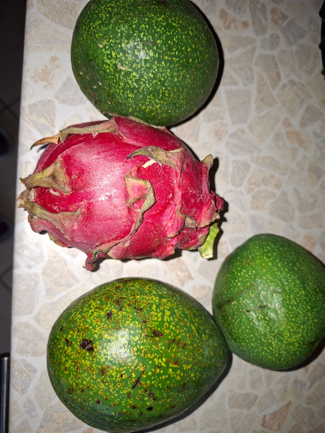 Customer photo review of Avocado "Jumbo" Bio & Fair Kipepeo - nicht bewässert, Wildwuchs
