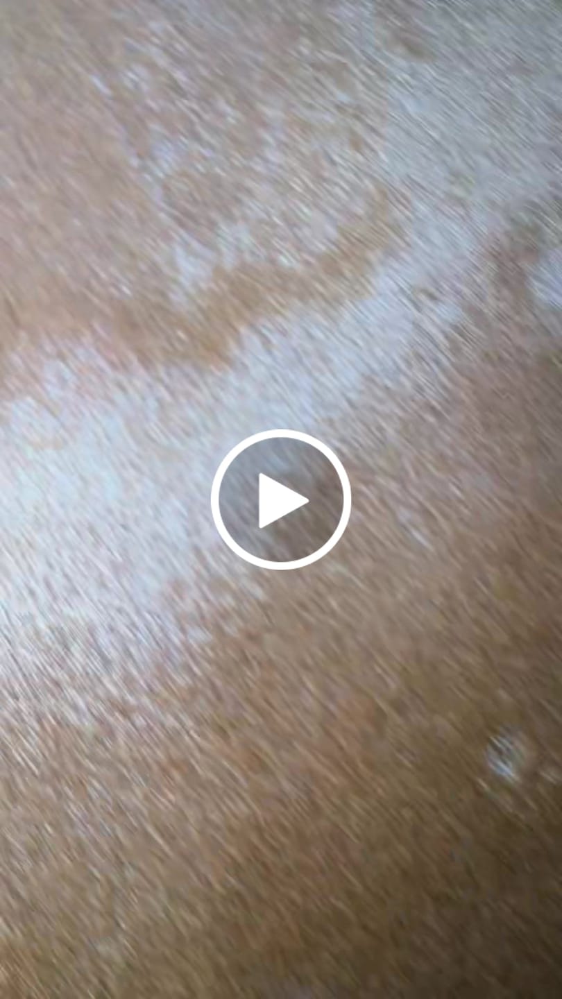 Customer video review of Field Coat