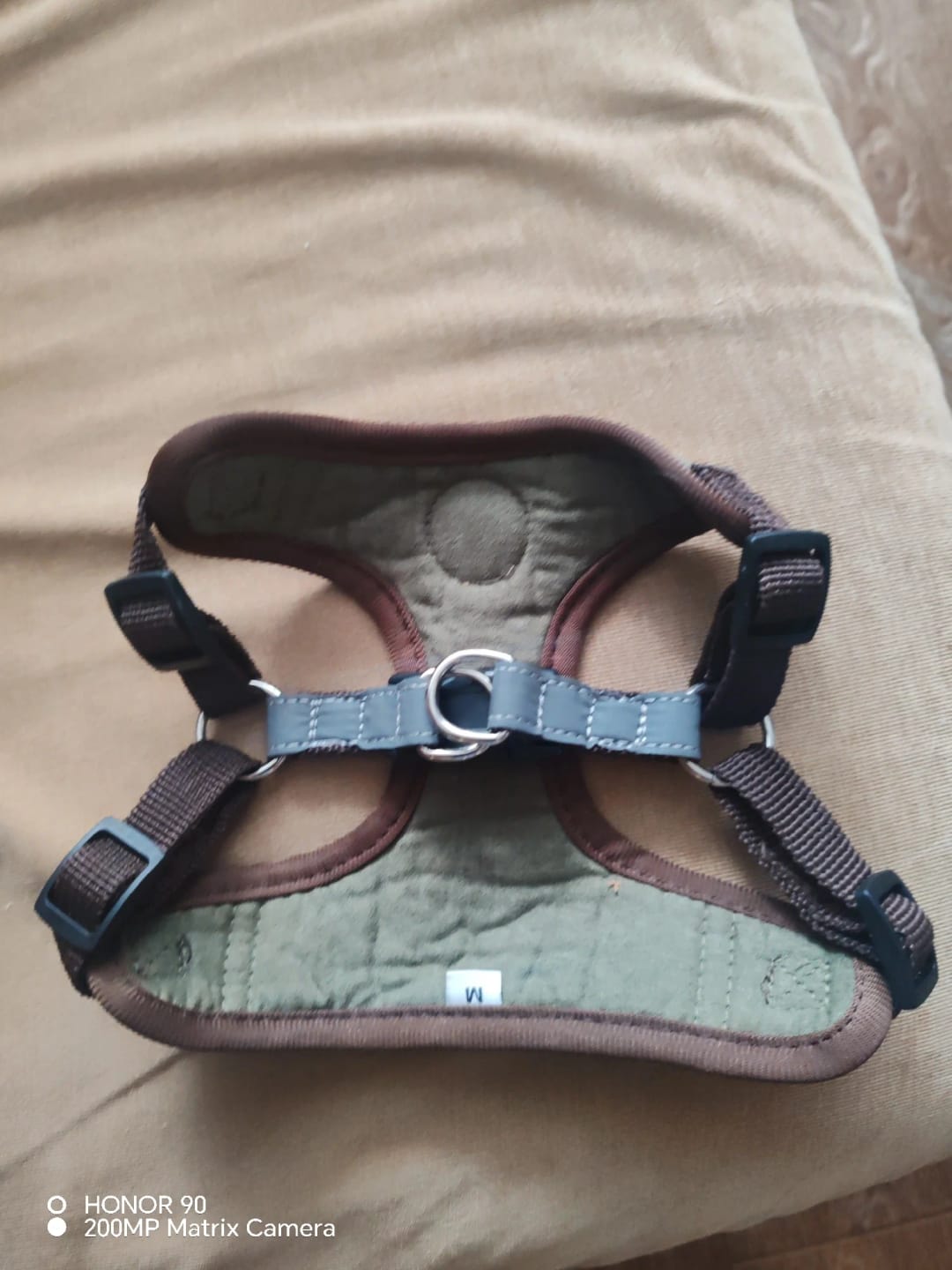 Customer photo review of Dogs Harness Vest Walking Traction Rope Reflective Straps Soft Mesh