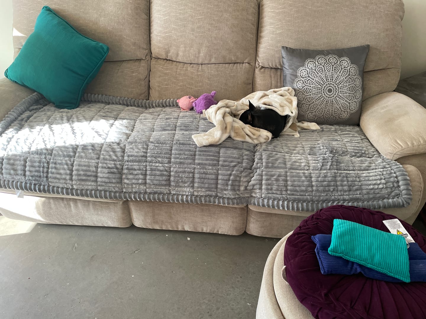 Customer photo review of Cosy Couch - Couch Cover